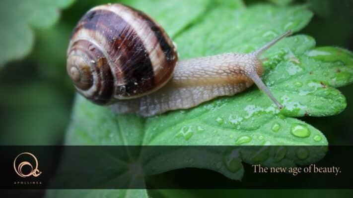 Allantoina nei cosmetici: i benefici per la pelle