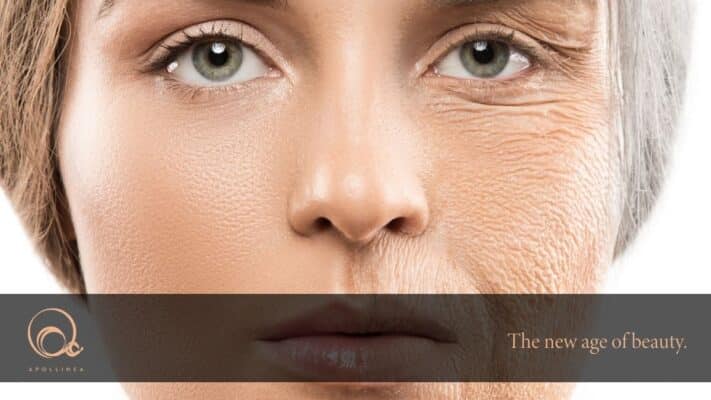 Fibroblasti: che relazione hanno con le rughe?