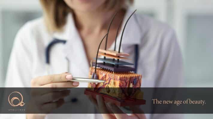 Derma della pelle: qual è la sua funzione