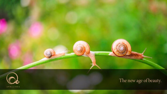 Bava di lumaca: cosa fa alla pelle del viso