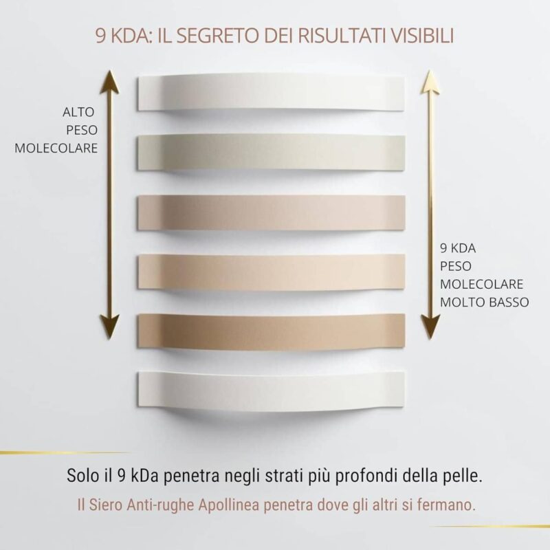 Siero Acido Ialuronico puro basso peso molecolare e medio peso molecolare, altamente performante, un nuovo prodotto puro nella linea di cosmetica naturale anti-age di Apollinea
